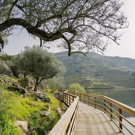 Casa Dona Edite Douro Hotel *