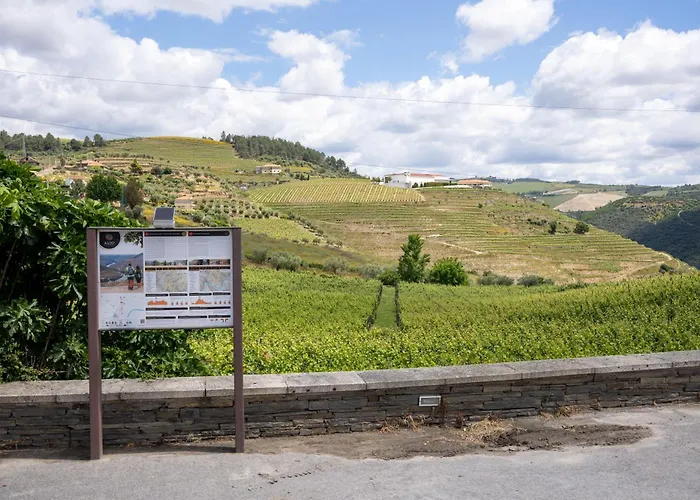 Casa Dona Edite Douro *